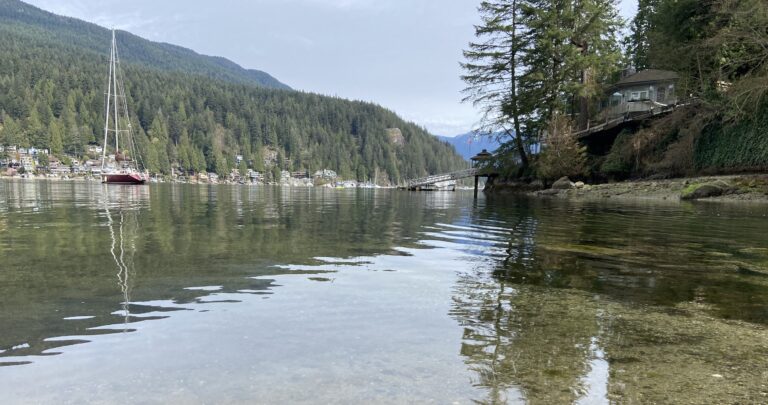 Deep Cove