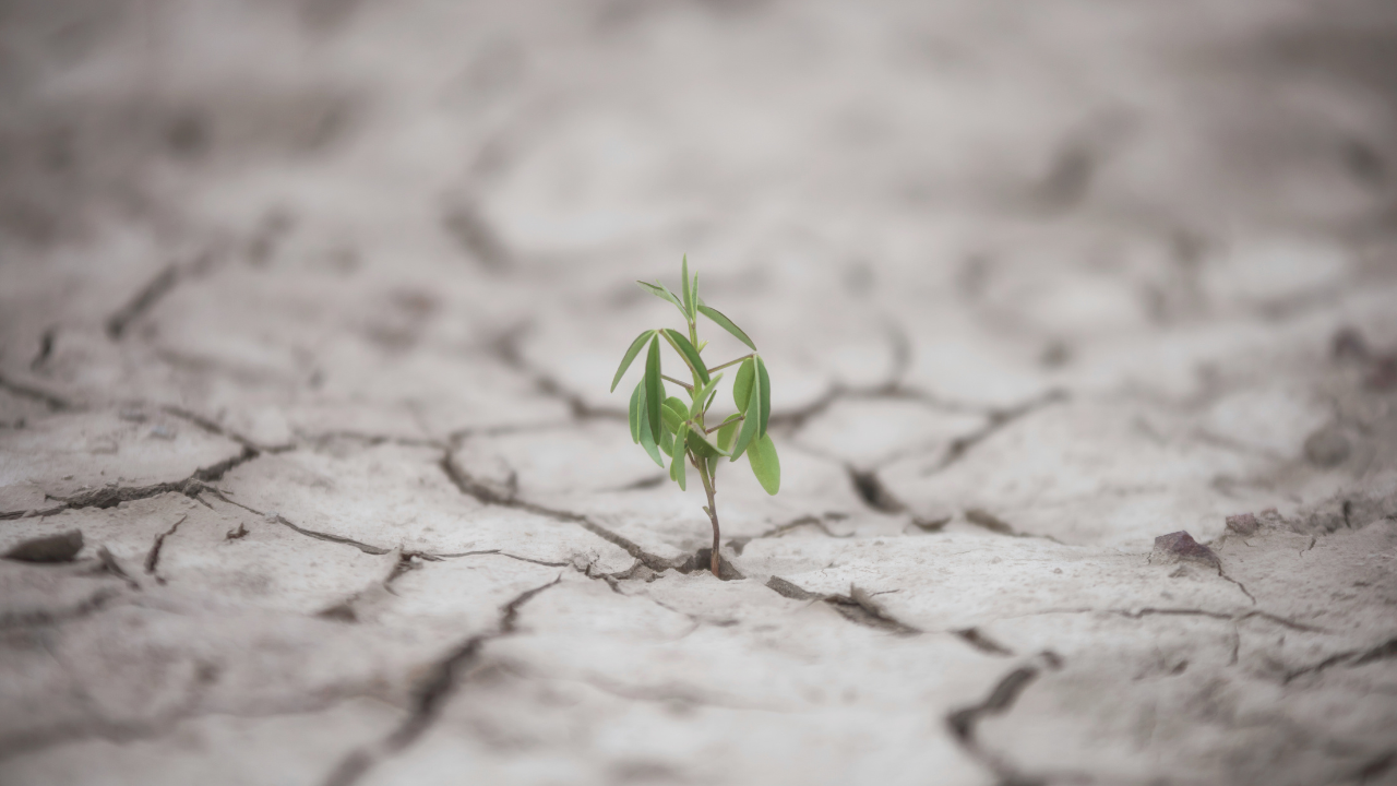 Building Resilience and Achieving Your Goals: A Guide to Personal Growth