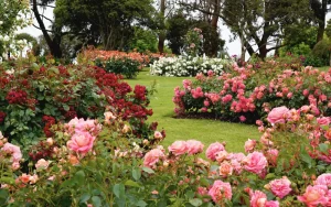 Butchard Garden