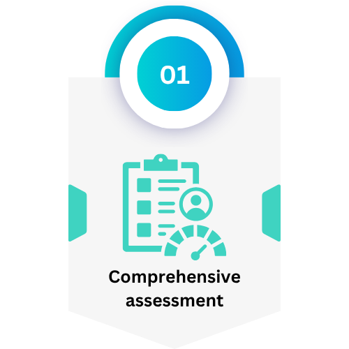 Comprehensive assessment