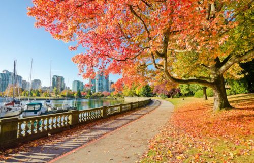 Vancouver’s Hidden Mental Health Oases