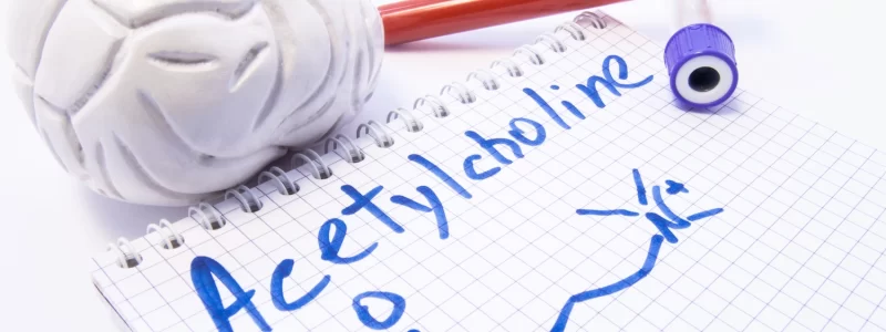acetylcholine